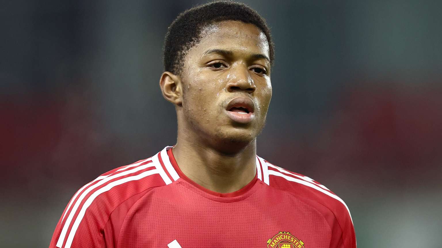 的新领导班 的新领导班