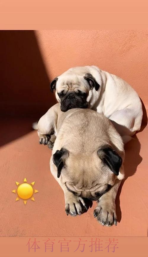 略伦特:和皇马的欧冠消耗太大 导致今天体力不支 略伦特:和皇马的欧冠消耗太大 导致今天体力不支